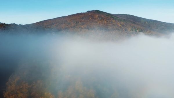 Őszi erdő hangulata