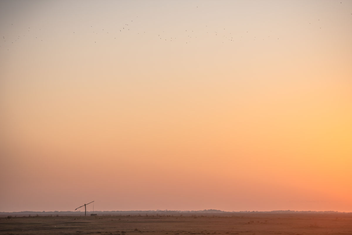 Darányiné Bakos Éva