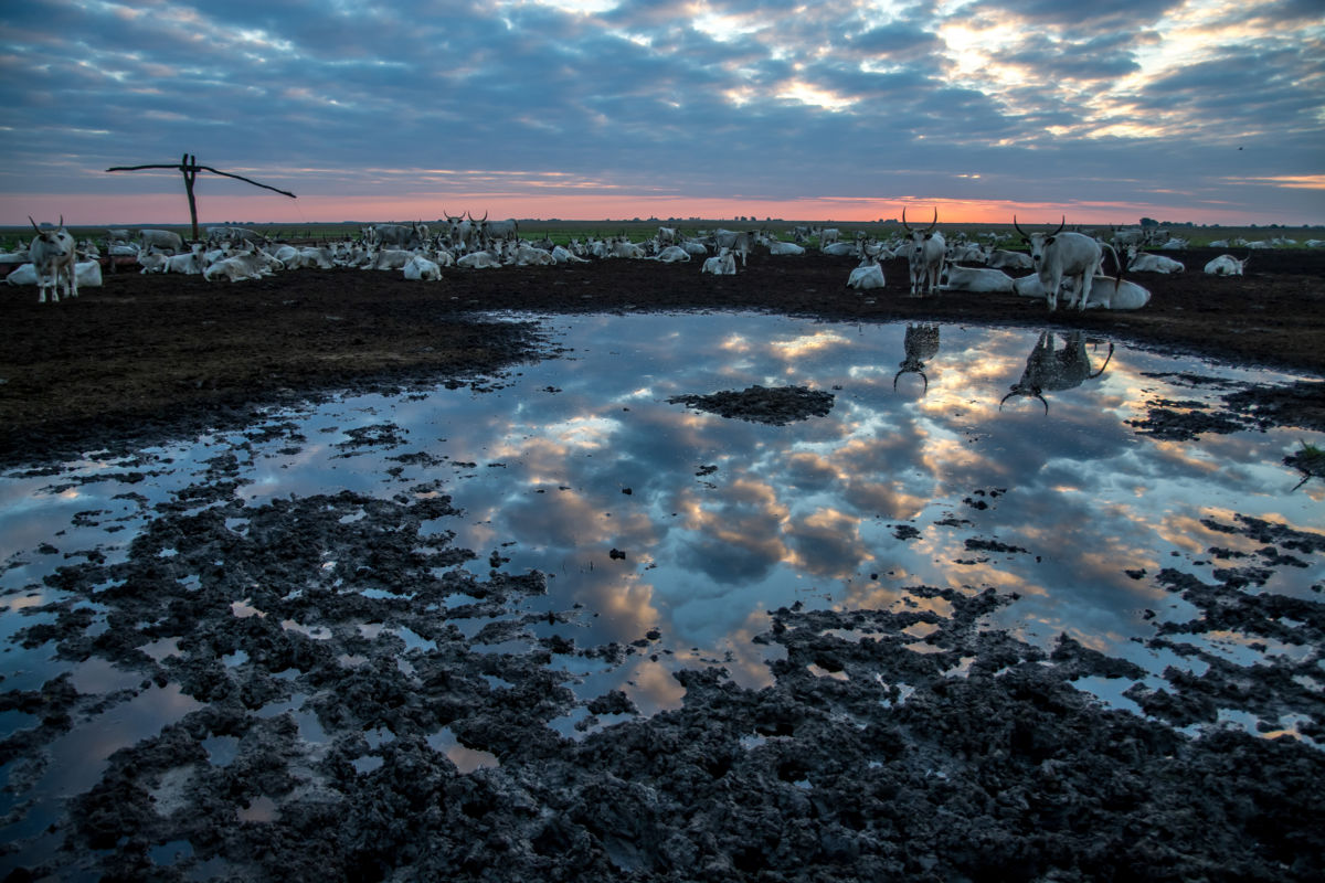 Derencsényi István