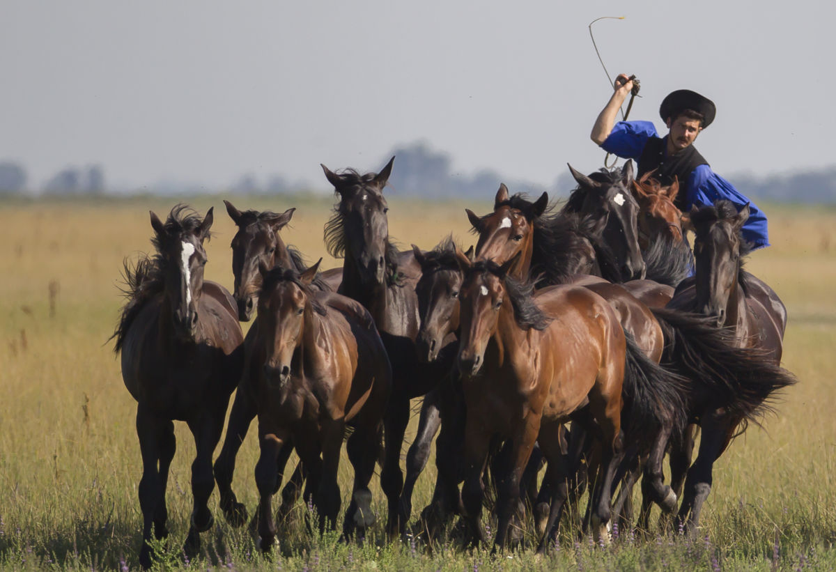 Derencsényi István
