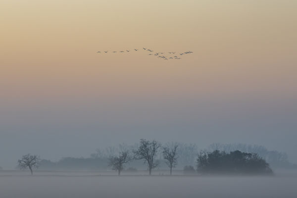 A hulló levelek havában