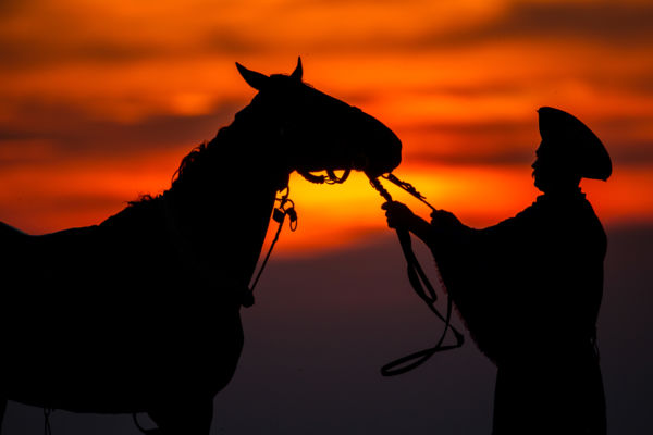 Csikós naplementében