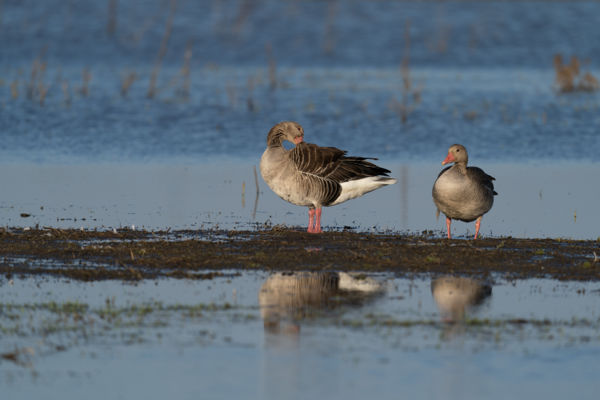 Térjünk nyugovóra