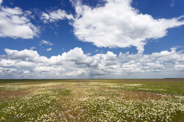 Ameddig a szem ellát...