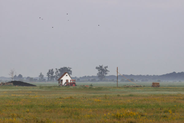 A traktor is aluszik