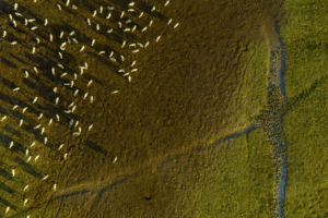 Hajnali indulás/4 Hajnali indulás/4