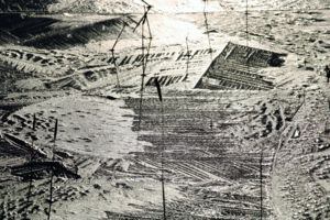 Jégbe zárt ecsetpázsit