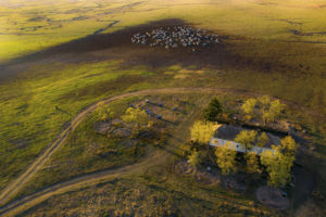 Hajnali indulás/1 Hajnali indulás/1