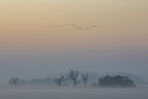 A hulló levelek havában A hulló levelek havában