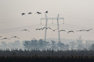 (Ki)útkeresők (Ki)útkeresők