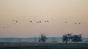 Csak sorjában Csak sorjában