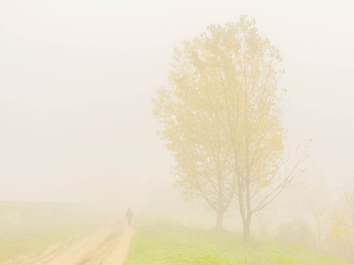 Gaál Zoltán Péter