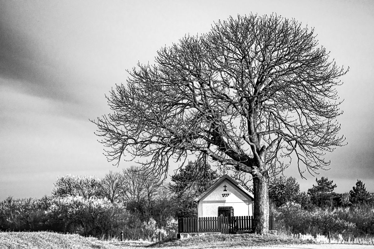 Gaál Zoltán Péter