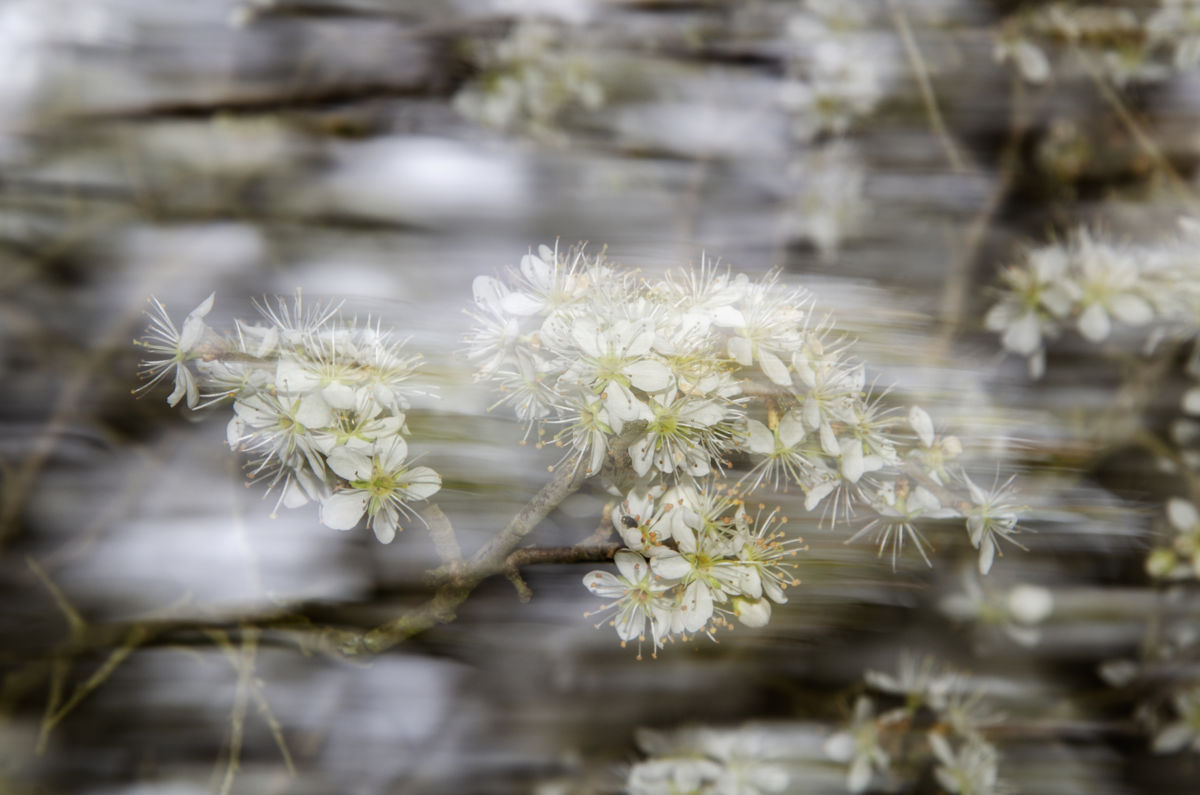 Berkesi Ágota Mirjam