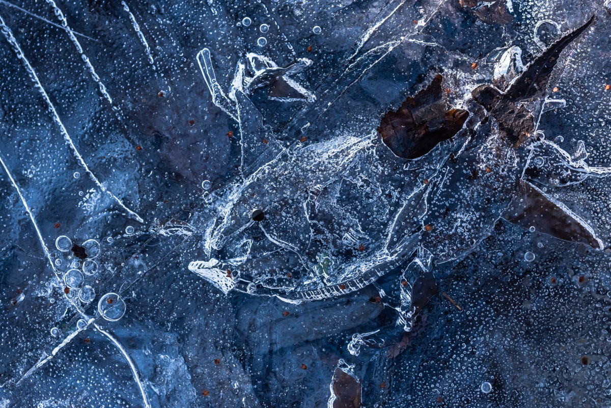 Darányiné Bakos Éva