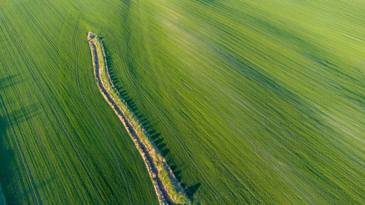 Benke Péter Valentin