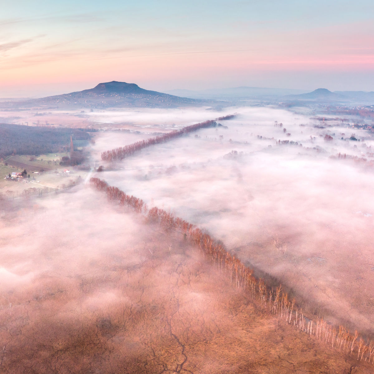 Koncz-Bisztricz Tamás