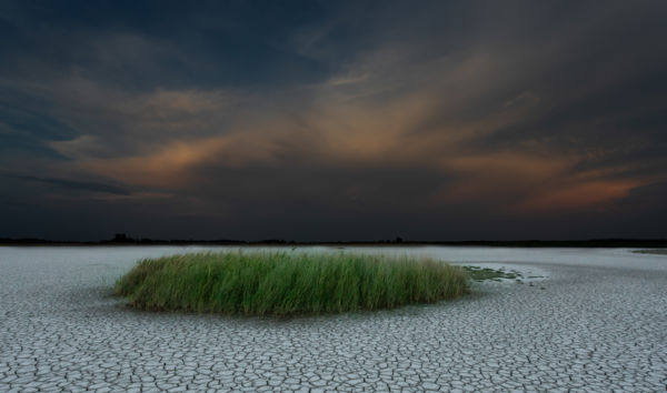 Sziget a szárazságban