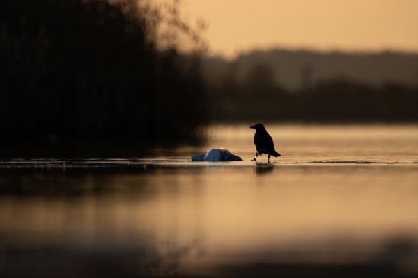A természet körforgása