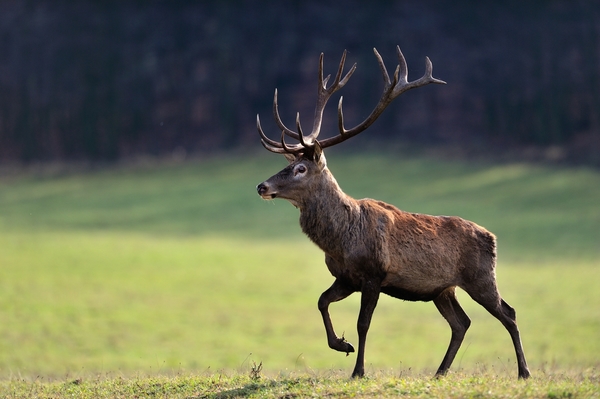 Páratlan tizenhatos