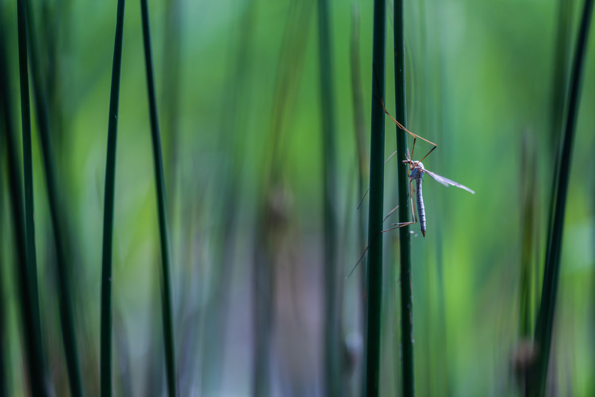 Darányiné Bakos Éva
