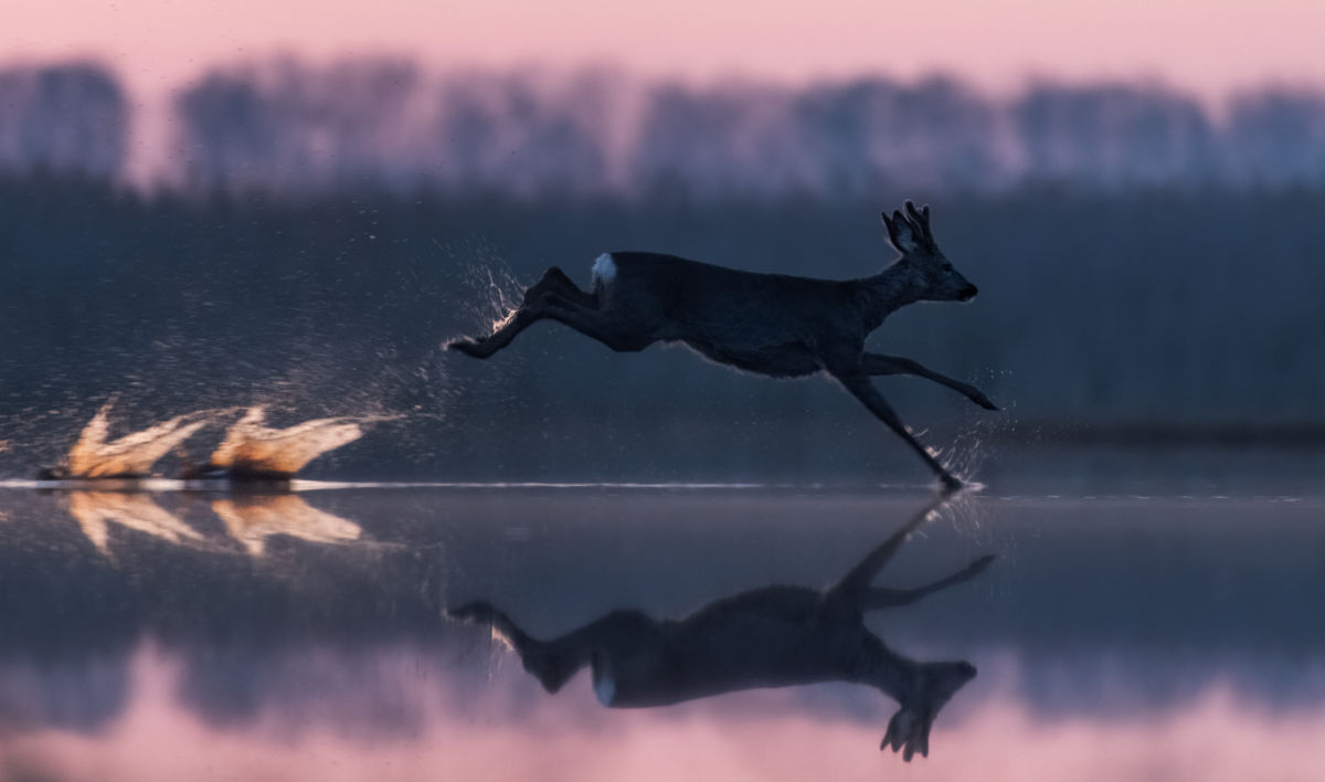 Szakolczai Krisztina