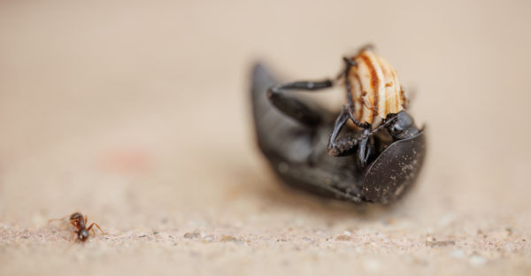 Nézni sem bírom ezt a horrort!