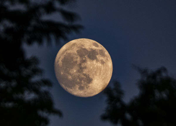 Holdvilágos éjszakán