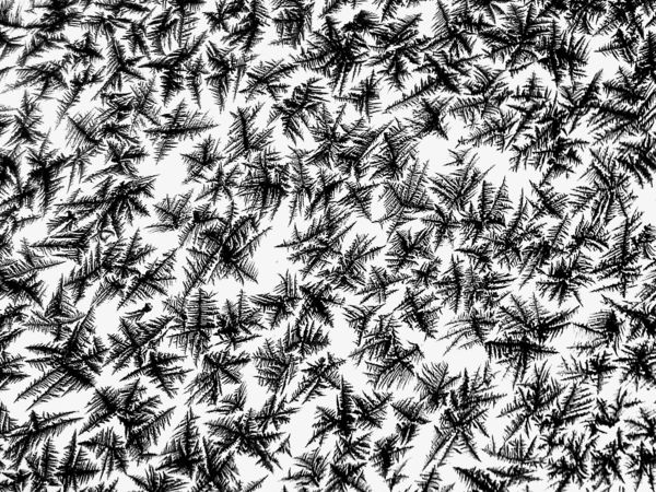 Jégvirágos tapéta