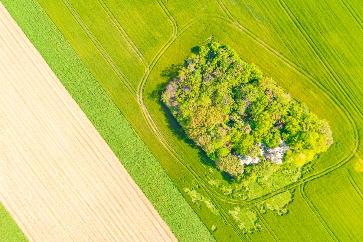 Gaál Zoltán Péter