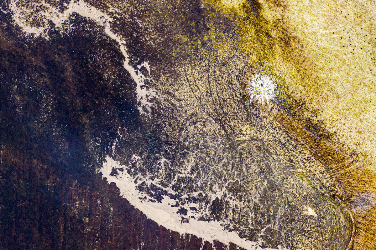 Gaál Zoltán Péter