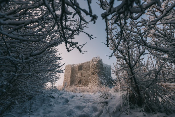 Történelem a bokor alatt