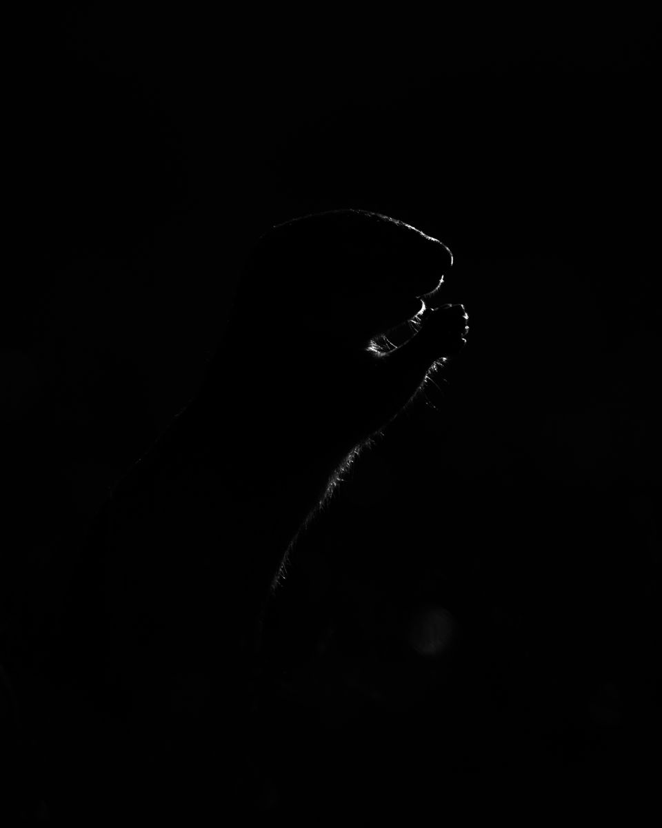 Berecz Roland Balázs 