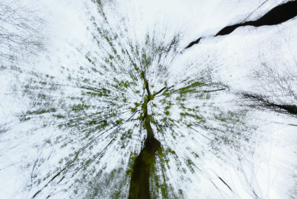 Szűkűlő világegyetem