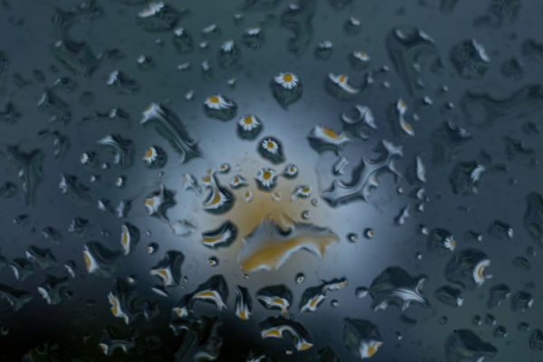 Százszorszép-másképp