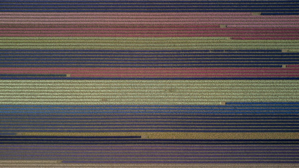 Folytonossági hiány