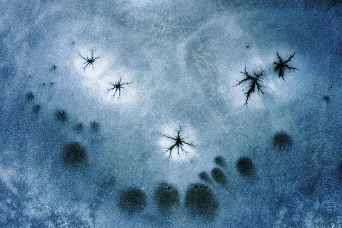 Szakolczai Krisztina