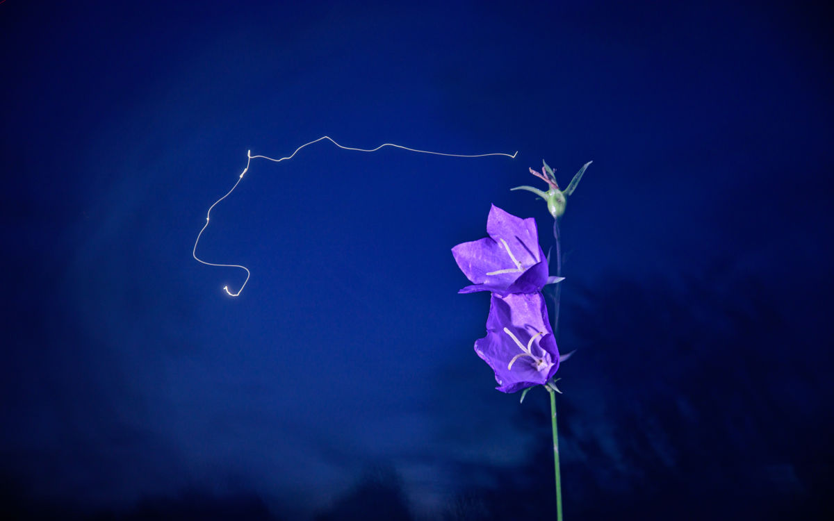 Benke Péter Valentin