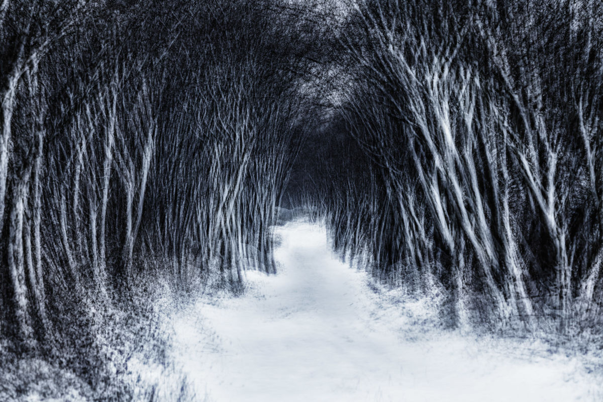 Szakolczai Krisztina