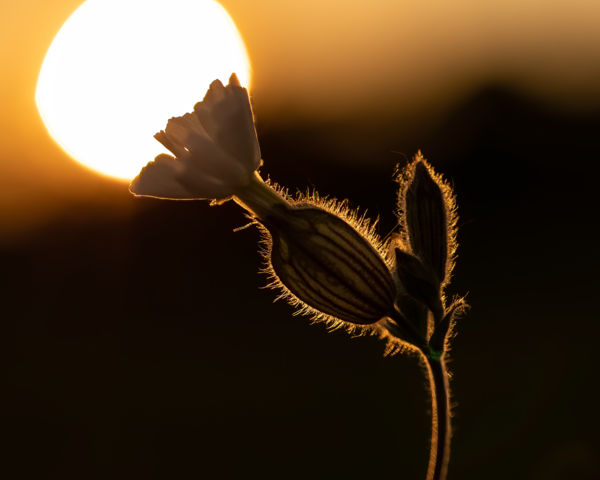 Lámpát ha gyújtok