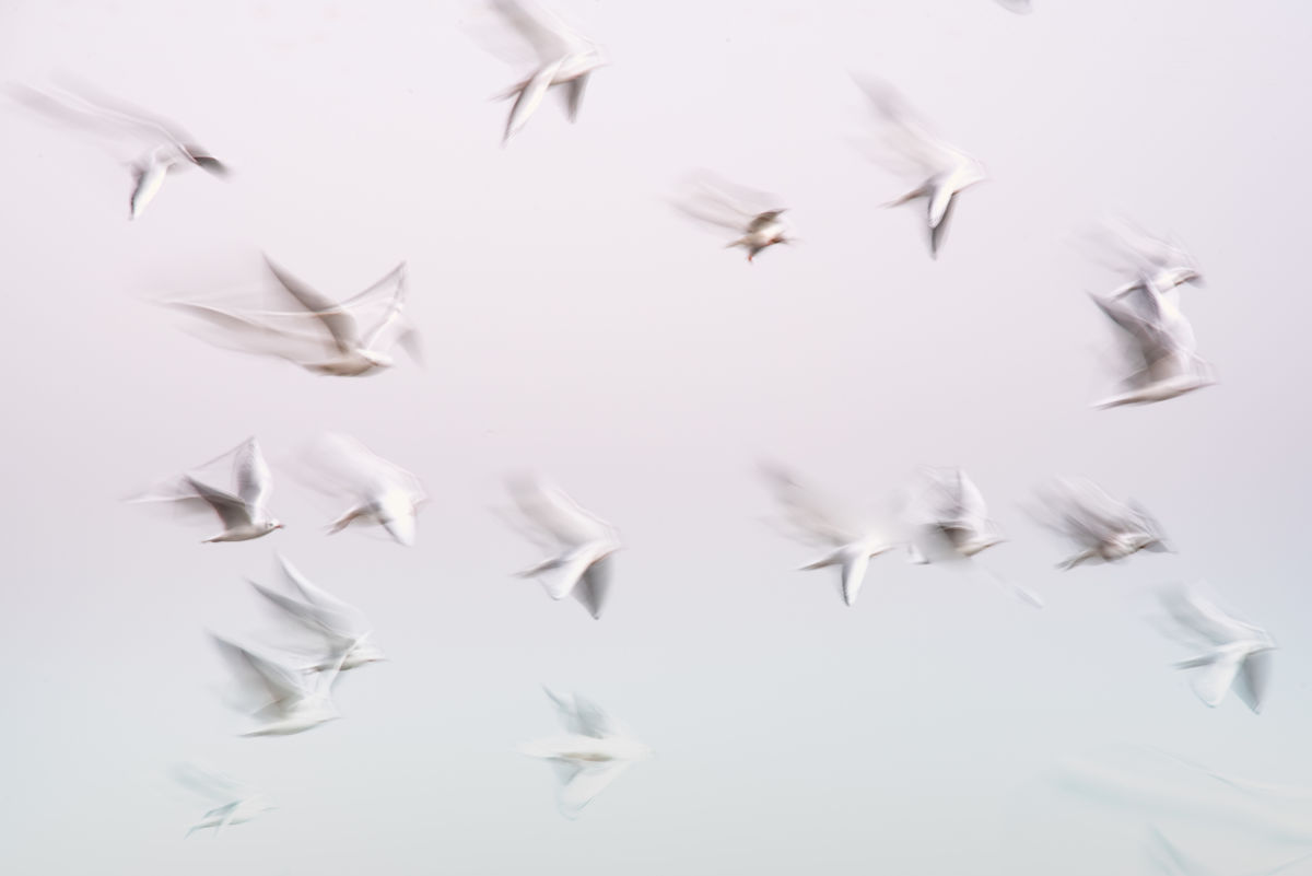 Darányiné Bakos Éva