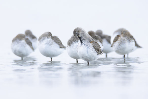 Csak semmi fölösleges mozdulat