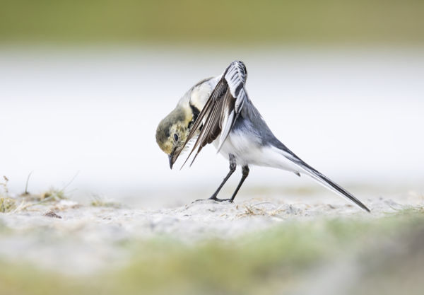 Minden toll számít