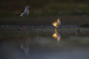 Most te jössz Most te jössz