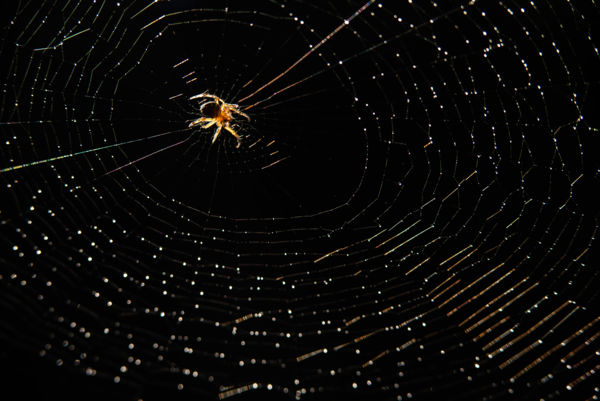 Szivárvány sugárút