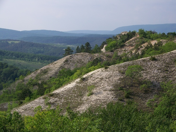 Egy különleges élőhely