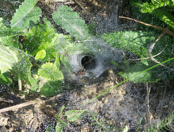 Csak tessék, beljebb!