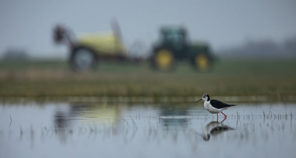 A traktor árnyékában