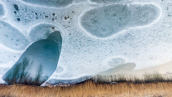 Nádasparti tükröződés