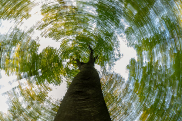 Szédítő magasság